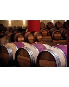 VIP参观 500元/位